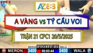 Trận 21 CPC1 20/5/2025 - Anh Vàng Và Anh Tý Cầu Voi