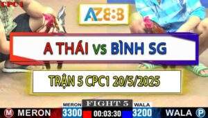 Trận 5 CPC1 20/5/2025 - Anh Thái Và Anh Bình Sài Gòn