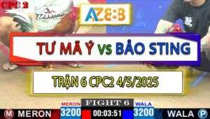 Trận 6 CPC2 4/5/2025 - Anh Tư Mã Ý Và Anh Bảo Sting