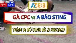 Trận 10 Bồ Dinh Bà 21/6/2025 - Điều Cọp Anh Bảo Sting Đá Camelo Bay Bồ