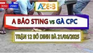 Trận 12 Bồ Dinh Bà 21/6/2025 - Bướm Hiệu Anh Bảo Sting Đâm Cựa Quá Ác