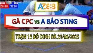 Trận 15 Bồ Dinh Bà 21/6/2025 - Bướm Hiệu Bảo Sting Đá Gà Cú Như Con