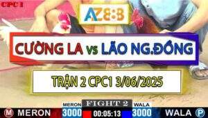 Trận 2 CPC1 3/6/2025 - Anh Cường Long An Và Lão Ngoan Đồng