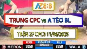 Trận 27 CPC3 11/6/2025 - Gà Xám Anh Trung Đá Bướm Anh Tèo Chìm Đầu