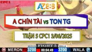 Trận 5 CPC1 3/6/2025 - Anh Chín Tài Và Anh Ton Tiền Giang