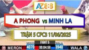 Trận 5 CPC3 11/6/2025 - Bướm Anh Phong Đâm Điều Bông Má Minh Xì Cơm