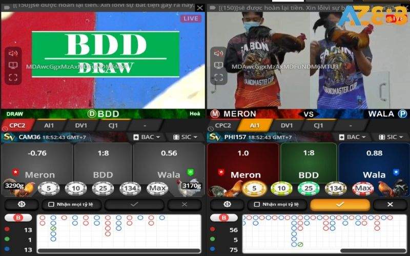 Các trận đấu tại sảnh SV388 có nguồn từ các trường gà danh tiếng